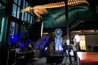 Burke Museum BTS-49